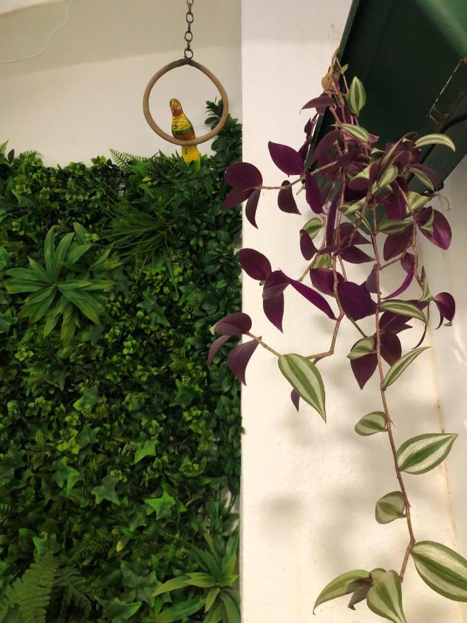 Naturehouse Campo Maior Exterior photo